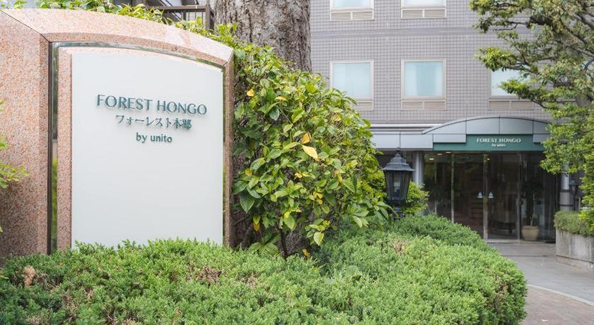 Forest Hongo — Photos 2